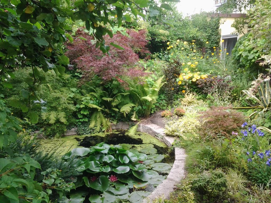 Gartenhaus Steffie พอทสดัม ภายนอก รูปภาพ